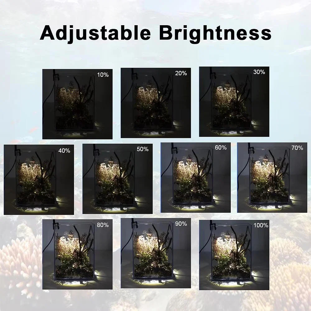 led-light-for-fish-tank-41192399_6.jpg